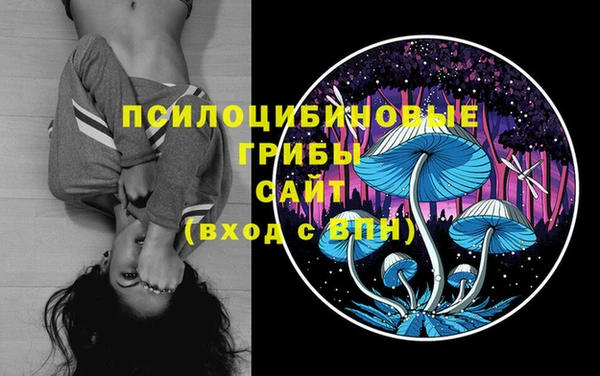 ГАЛЛЮЦИНОГЕННЫЕ ГРИБЫ Михайлов