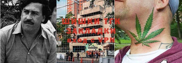 ГАЛЛЮЦИНОГЕННЫЕ ГРИБЫ Михайлов