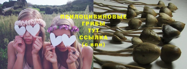МДПВ Надым
