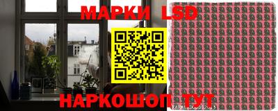 прущие грибы Абинск
