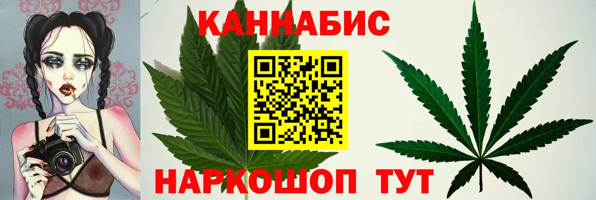 Шишки марихуана конопля Шахты